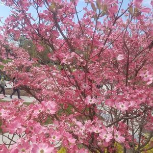 Meet your Posher, Beatrice